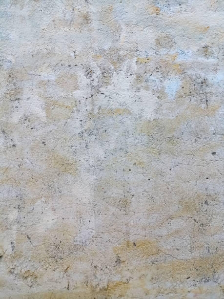 istock highly Detailed grunge background with space for your design 1134177144
