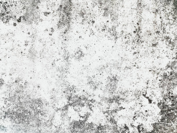 istock highly Detailed grunge background with space for your design 1134177232