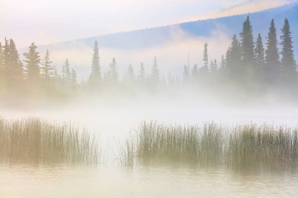 Vermillion Lakes at dawn in Banff National Park in the Canadian Rockies