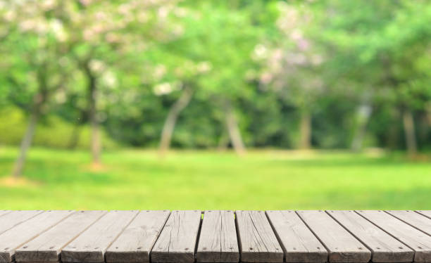 Empty Wooden Platform And Spring Green Blur Abstract Background