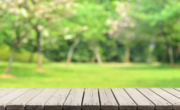 Photo of Empty Wooden Platform And Spring Green Blur Abstract Background