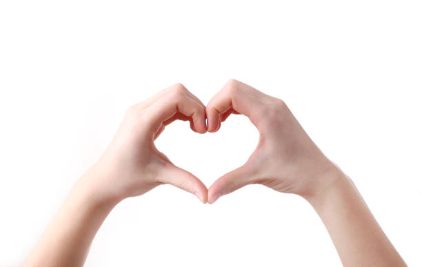 istock Female hands in heart shape on white background 1134181031
