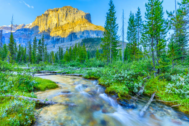 istock Kootenay National Park in Alberta Canada 1134181336