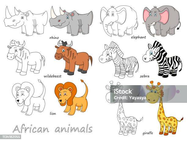 Cartoon African Animals Outline And Colored Illustration Stock Illustration - Download Image Now