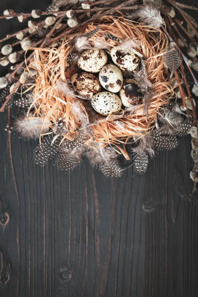 istock Quail eggs on old wooden background. Happy Easter. Top view. Free copy space. Selective focus. 1134182249