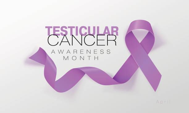 Testicular Cancer Awareness Calligraphy Poster Design. Realistic Orchid Ribbon. April is Cancer Awareness Month. Vector Testicular Cancer Awareness Calligraphy Poster Design. Realistic Orchid Ribbon. April is Cancer Awareness Month. Vector Illustration. phallic object stock illustrations