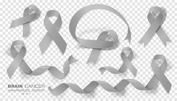 Brain Cancer Awareness Month. Grey Color Ribbon Isolated On Transparent Background. Vector Design Template For Poster. Brain Cancer Awareness Month. Grey Color Ribbon Isolated On Transparent Background. Vector Design Template For Poster. Illustration. brain tumour stock illustrations