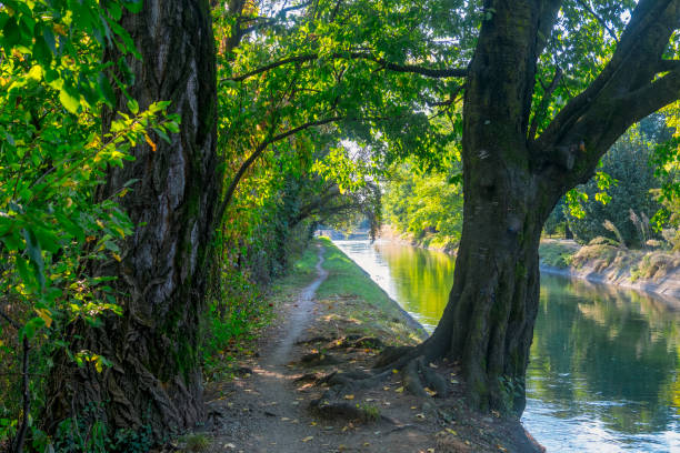 Park of Grugnotorto (Lombardy, Italy), between Milan and Brianza, in autumn. Path for bicycle and pedestrian along the Villoresi canal