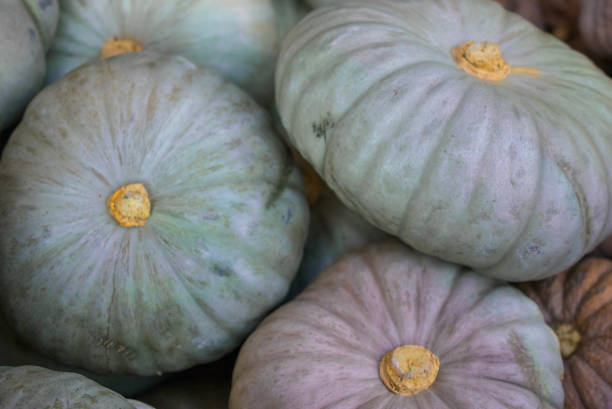 istock Top view of pumpkins 1134187709