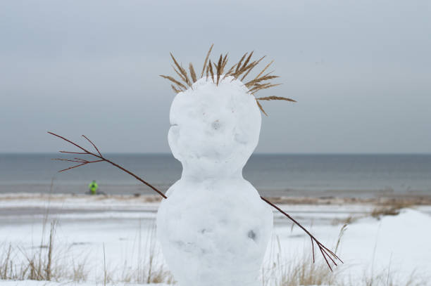 istock Snowman at the beach in winter 1134187884