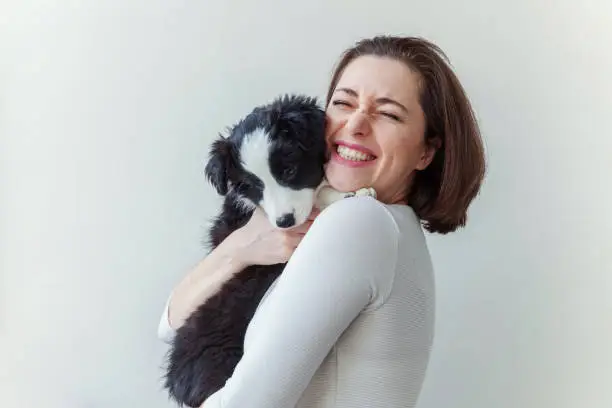 Smiling young attractive woman embracing cute puppy dog border collie isolated on white background. Girl huging new lovely member of family. Pet care and animals concept