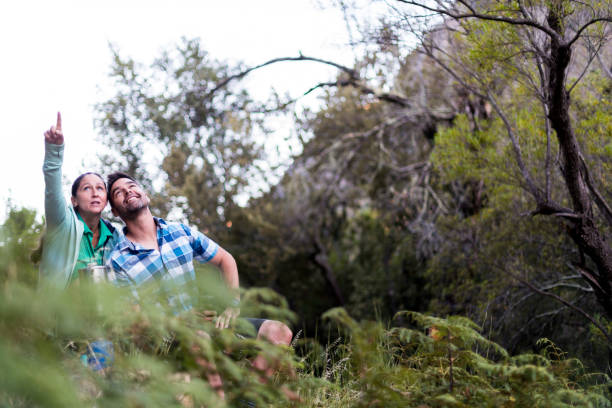 istock Couple sitting in nature and while looking at the wildlife 1134188545
