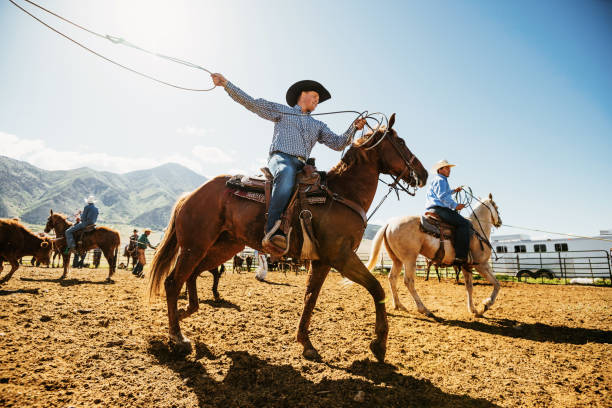 cowboys lasen kalb auf ranch - rodeo cowboy motion horse stock-fotos und bilder