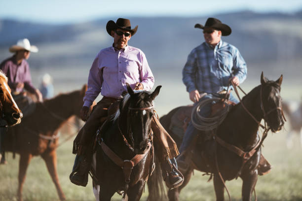 istock Adult cowboys riding galloping horses 1134191441