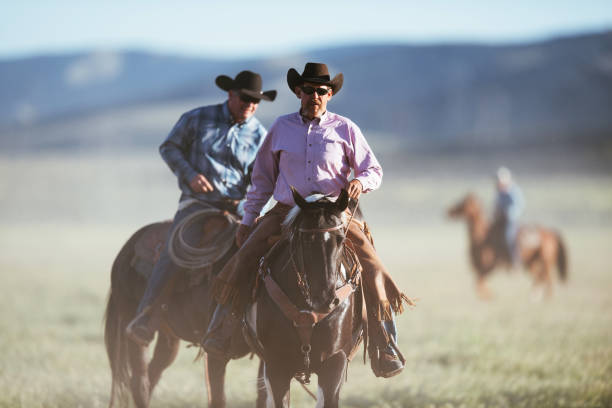 istock Adult cowboys riding galloping horses 1134192085