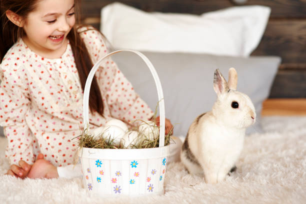 寝室でウサギと楽しい女の子 - easter easter bunny fun humor ストックフォトと画像