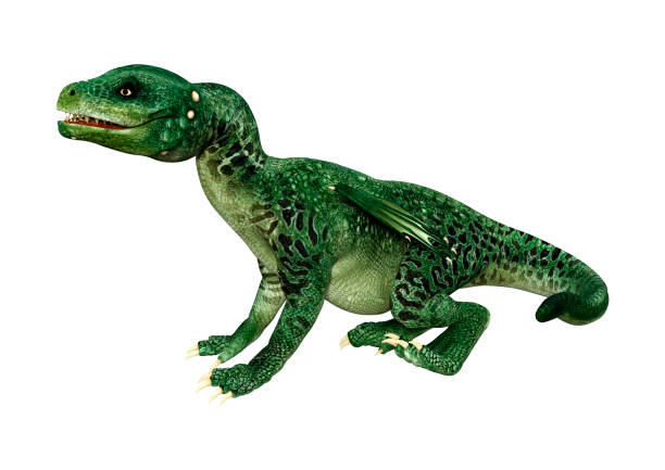 istock 3D illustration green fantasy hatchling dragon on white 1134192727