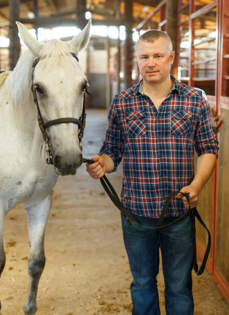 istock Positive man farmer  with white horse standing at stabling indoor 1134193656