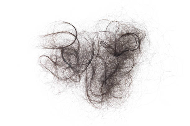 Hair Ball Stock Photos, Pictures & Royalty-Free Images - iStock