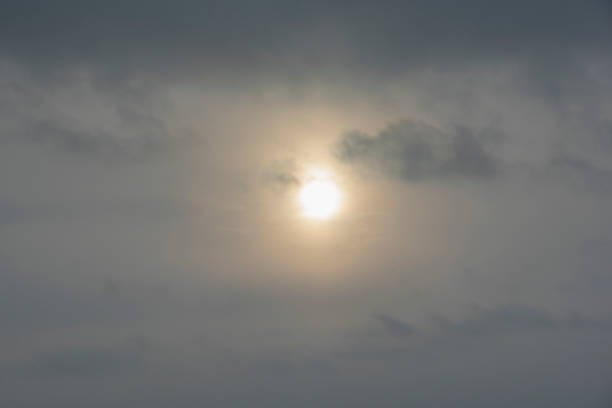 Morning sun and fog on mountain.