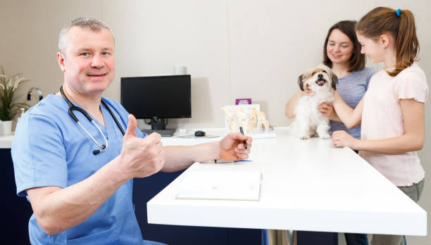 istock Veterinarian giving thumbs up 1134195500