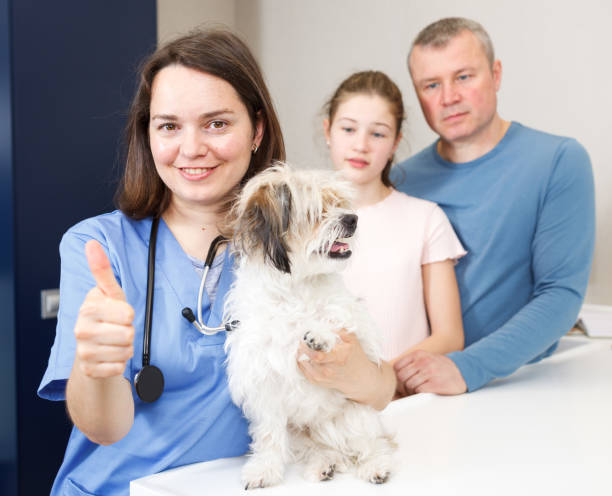 istock Happy female veterinarian with dog 1134195515