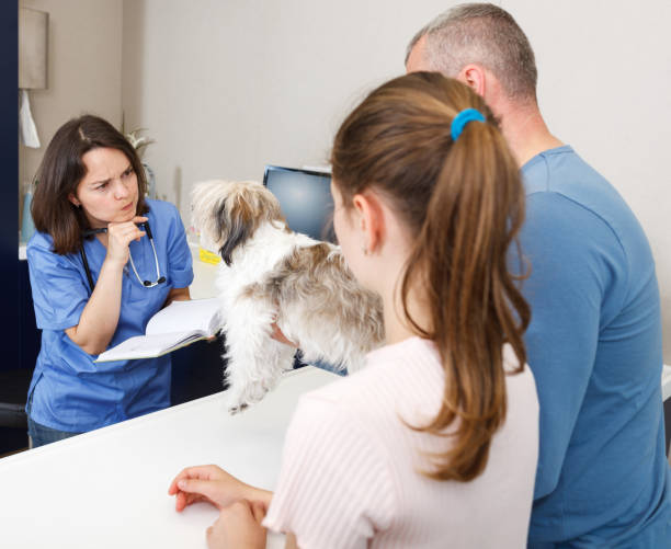 istock Woman veterinarian with visitors 1134195522