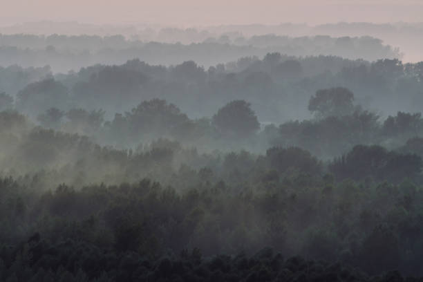istock Mystical view from top on forest under haze at early morning. Eerie mist among layers from tree silhouettes in taiga under predawn sky. Morning atmospheric minimalistic landscape of majestic nature. 1134198101