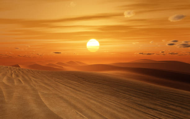 sonnenuntergang in der wüste - wüste stock-fotos und bilder