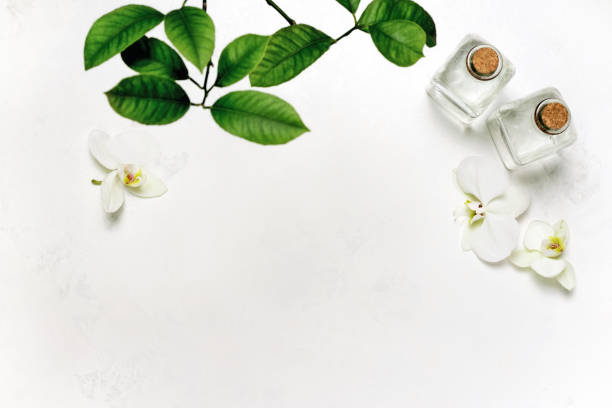 summer spa background - beauty spa spa treatment health spa orchid imagens e fotografias de stock