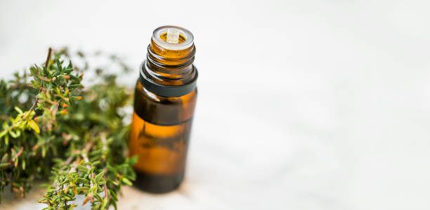 istock Thyme essential oil bottle with thyme herb twigs on white background with copy space, spa essential oil , thyme oil 1134214483