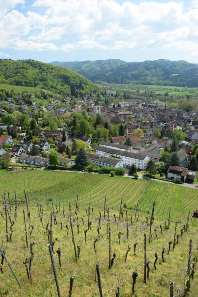 istock Staufen in Breisgau 1134214664