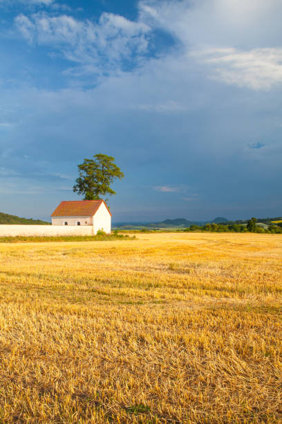 istock Cemetery between the fields at the village Merunice 1134219277