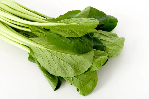 Komatsuna, Japanese Mustard Spinach