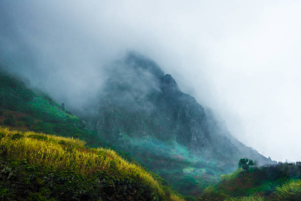 fog in the mountains with small alpine hut - spooky hills