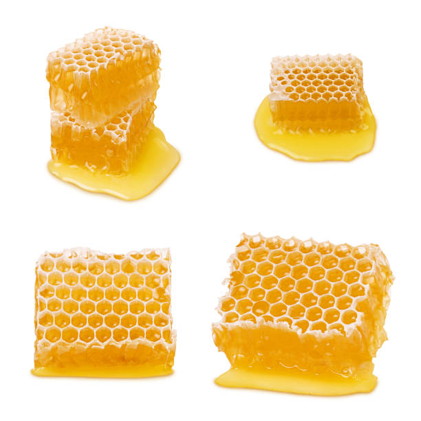 Honeycomb isolated. Set of honeycomb parts with liquid bee natural yellow honey isolated on white background Honeycomb isolated. Set of honeycomb parts with liquid bee natural yellow honey isolated on white background honeycomb pattern photos stock pictures, royalty-free photos & images