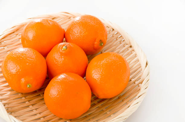 istock Minneola (Hybrid of Mandarin and Grapefruit)on a bamboo colander on white background , Called Honeybell also. 1134229069