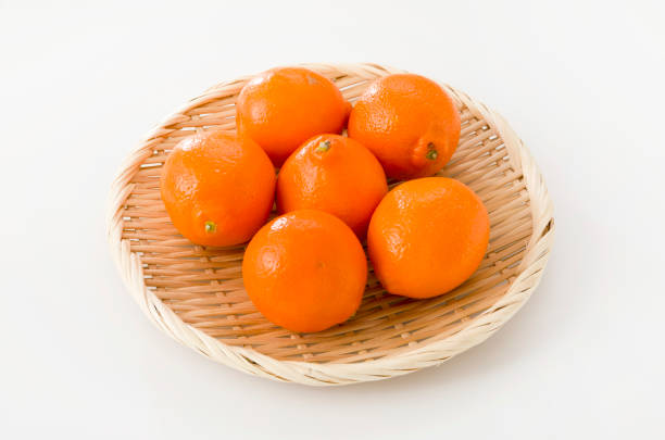 istock Minneola (Hybrid of Mandarin and Grapefruit)on a bamboo colander on white background , Called Honeybell also. 1134229331