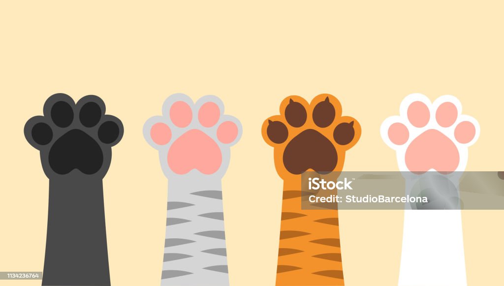 Different cats paws up. Set of different colors cats paws up. Vector illustration. Animal Leg stock vector