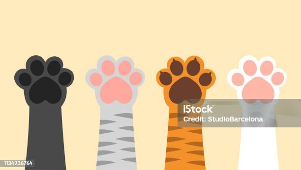 Different Cats Paws Up Stock Illustration - Download Image Now - Animal Leg, At The Bottom Of, Domestic Cat