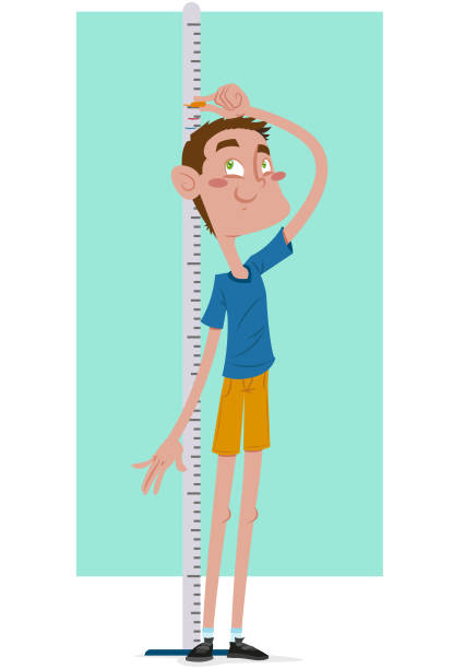 1,298 Tall Boy Illustrations & Clip Art - iStock | Tall boy isolated, Tall  boy inflatable