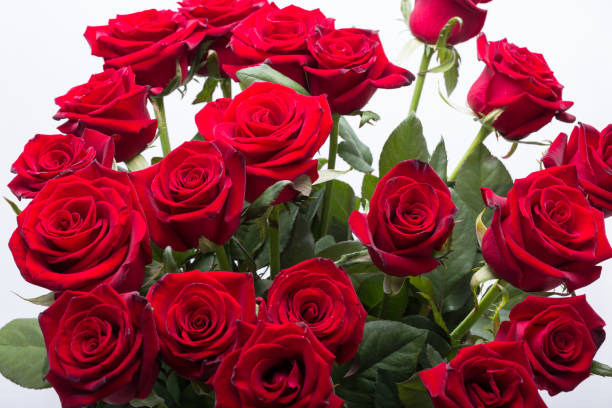 istock bouquet of blossoming dark red roses 1134239143