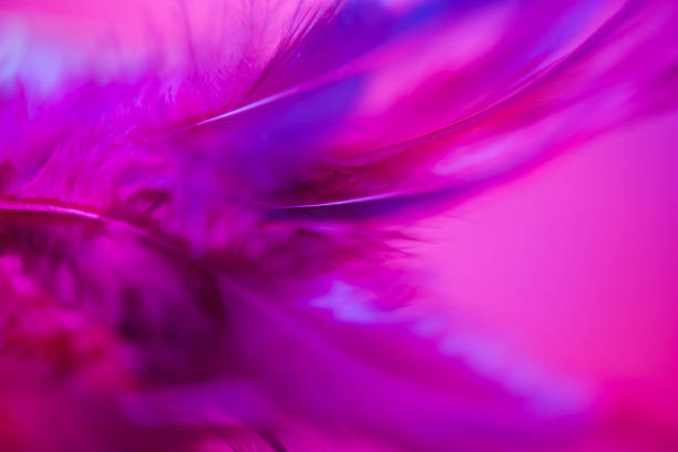 istock Pink and blue out of focus abstract pattern background 1134239318