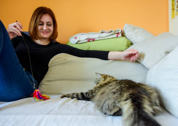 istock Young woman playing with her cat using a toy 1134240579