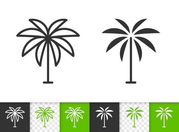 Geometric Palm Tree simple black line vector icon Geometric Tree black linear and silhouette icons. Thin line sign of date palm. Coconut outline pictogram isolated on transparent background. Vector Icon shape. Tropical Tree simple symbol close-up date palm tree stock illustrations