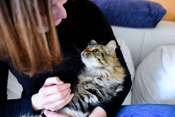 istock Young woman playing with her cat 1134241271