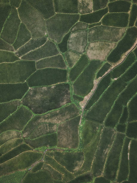 Flying my drone over landscape