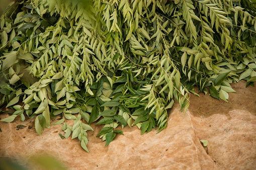 A close-up top-down view of sweet neem leaves in a brown paper bag at a farmer's market in Kerala, India.