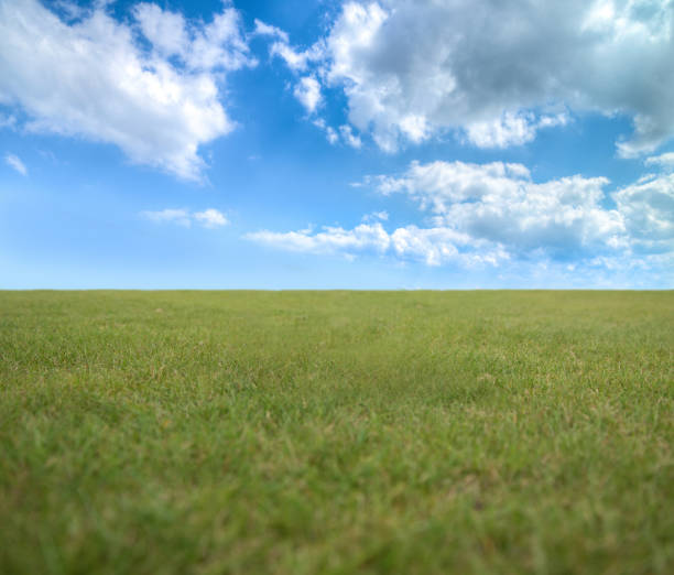 istock Summer landscape with field and sky 1134244429