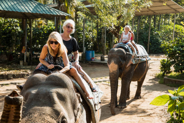 istock Female Tourists Riding Indian Elephants 1134244632